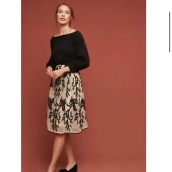 NWT👗 Anthropologie /dRA Los Angeles Embroidered Tulle Skirt SZ-S - Picture 2 of 13